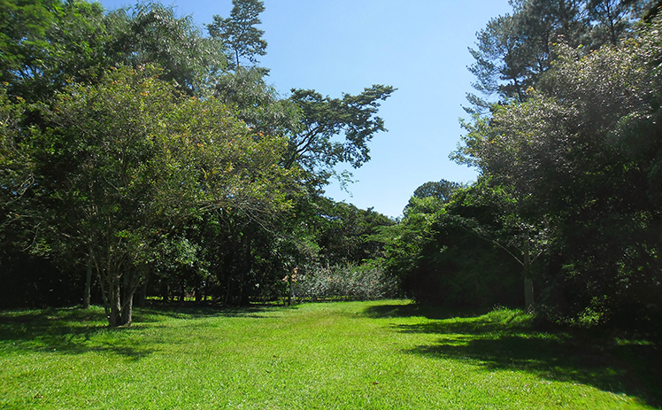 Parque Estadual Porto Ferreira
